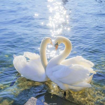 澳门新莆京游戏大厅app下载