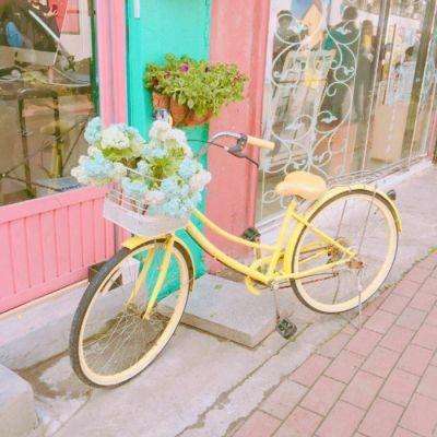 Welcome彩票中心注册大厅进入app下载