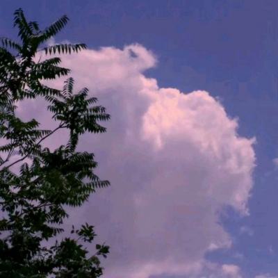 台湾福星彩app下载