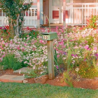 极速赛车游戏下载手机版