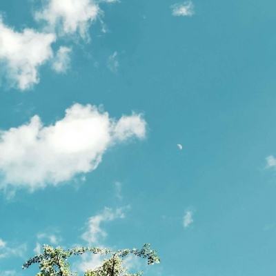 BO半岛综合app安全下载下载手机版